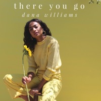 There You Go - Single - Dana Williams