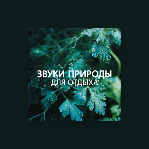 Ансамбль Звуков Природы's avatar