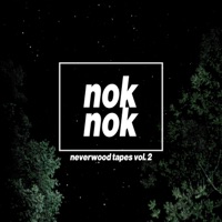 Neverwood Tapes, Vol. 2 - EP - nok nok