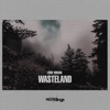 Wasteland - Single