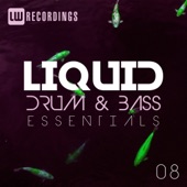 Liquid Drum & Bass Essentials, Vol. 08 artwork