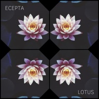 Lotus - Single - Ecepta