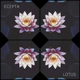 Lotus Ecepta