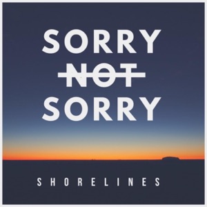 Sorry Not Sorry - Single