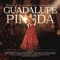 Amor de los Dos (feat. Pepe Aguilar) - Guadalupe Pineda lyrics