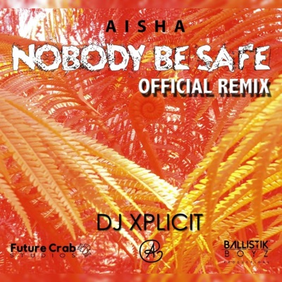Nobody Be Safe (feat. DJ Xplicit) [Remix] - Single