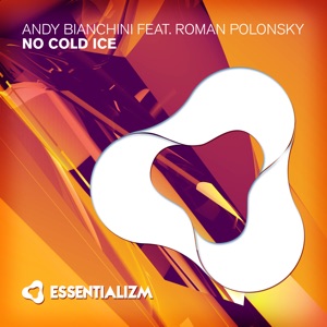 No Cold Ice (feat. Roman Polonsky) - Single
