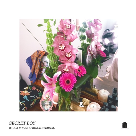 Cover artwork for I See You as a Dove