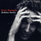 David Baerwald - Stranger