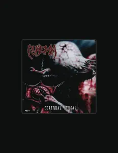 Listen to Pyaemia, watch music videos, read bio, see tour dates & more!