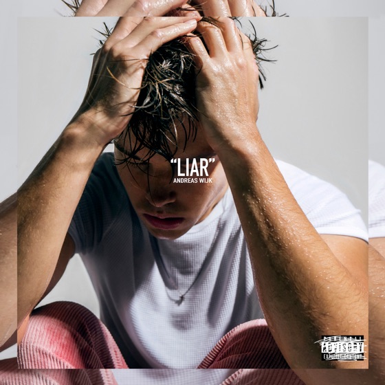 Cover artwork for Liar