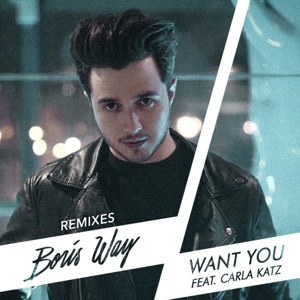 Want You (feat. Carla Katz) [Remixes] - Single