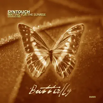 Waiting For the Sunrise (Extended Mix) by Syntouch song reviws