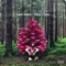 Assumer - Slim Lessio lyrics
