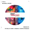 Tsili - Wanna Know (Andomalix Remix)