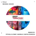 Wanna Know  (Andomalix Remix)