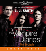 The Vampire Diaries: The Struggle - L. J. Smith