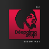 Déepalma Soul Presents: Bar Essentials (25 Deep Soulful House Gems) - Various Artists