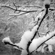 White Snow - Jennifer Tatum