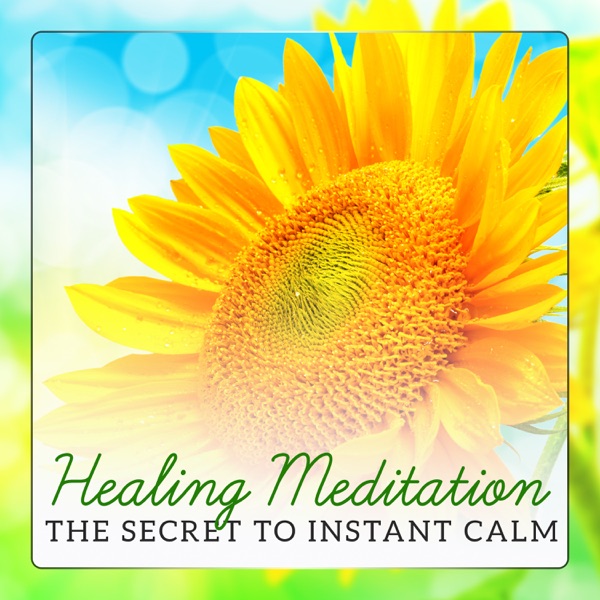 Healing Meditation: The Secret to Instant Calm