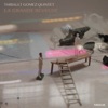 Thibault Renard Chips, no. 4 