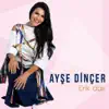 Ayşe Dinçer - Erik Dalı
