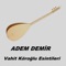 Divan - Adem Demir lyrics