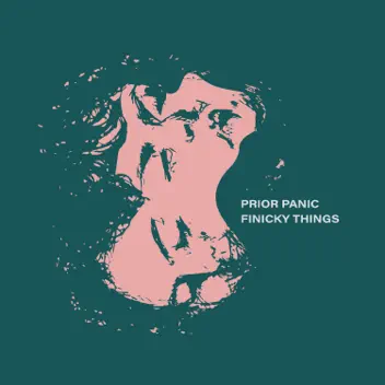 Finicky Things album cover