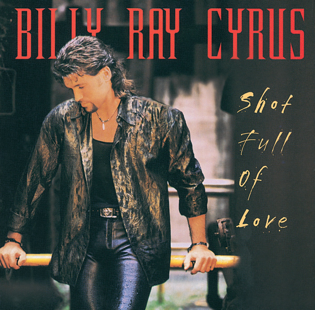 Some Gave All by Billy Ray Cyrus on Apple Music
