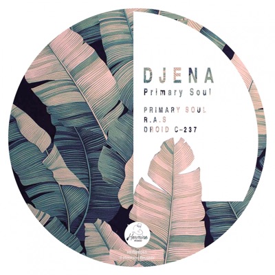 Primary Soul - Single