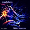 Hidden Memories - Single