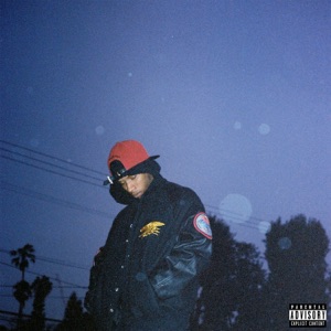 Fallback (feat. Play Picasso) - Single