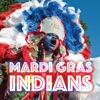 Mardi Gras Brass Band Big Chief Mardi Gras Indians