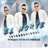 Porque No Te Enamoras - Single