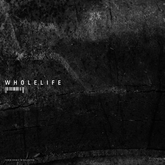 Cover artwork for Whole Life