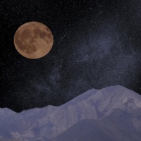 Reflection - Single - Toonorth