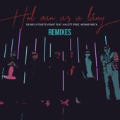 Hol van az a lány (DISCO'S Hit Remix) artwork