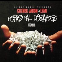 Pepas Pal Desahogo (feat. Lyan) - Single - Cozmek Jabon