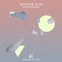 Winter Sun - Single - Chen boi & Broeseph