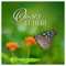 Astral Experience - Mindfulness Meditation Universe lyrics
