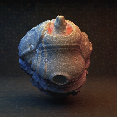 So Much / Human Touch - Single