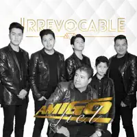 Vivo Sonando — Grupo Amigo Fiel