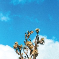 Todo Es Hoy - Single - Surfistas Del Sistema