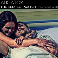 The Perfect Match (feat. Daniel Kandi) - DJ Aligator
