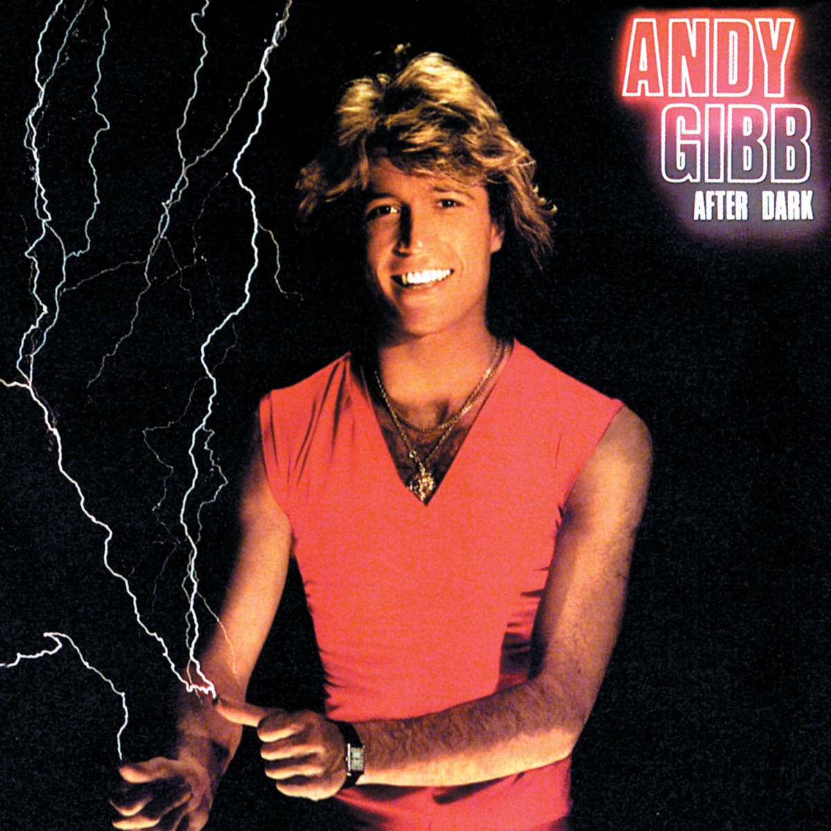Andy Gibb / アンディ・ギブ / Shadow Dancing