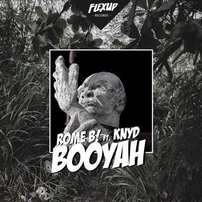 Booyah - Single