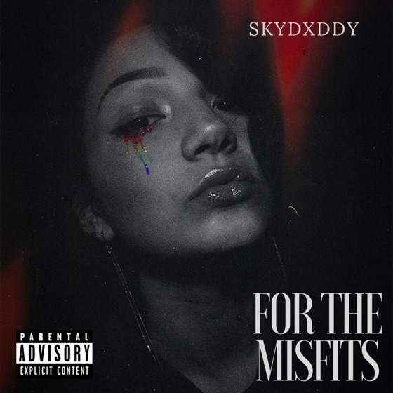 Cover artwork for For the Misfits