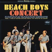 Beach Boys Concert (Live) artwork