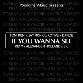 If You Wanna See (feat. Jay Ronic, Active, Darce, Kid V, Alexander Holland & B.C) Tomi Keni