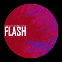 Flash - N.O.B.A, Greg Denbosa & Kolt Us